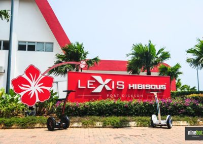 lexis-01